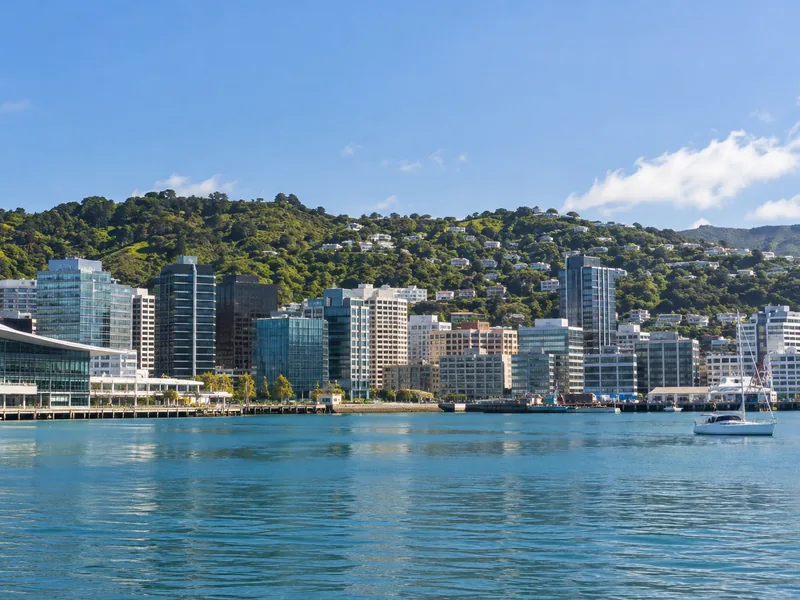 Wellington's colourful hillside houses above the harbour