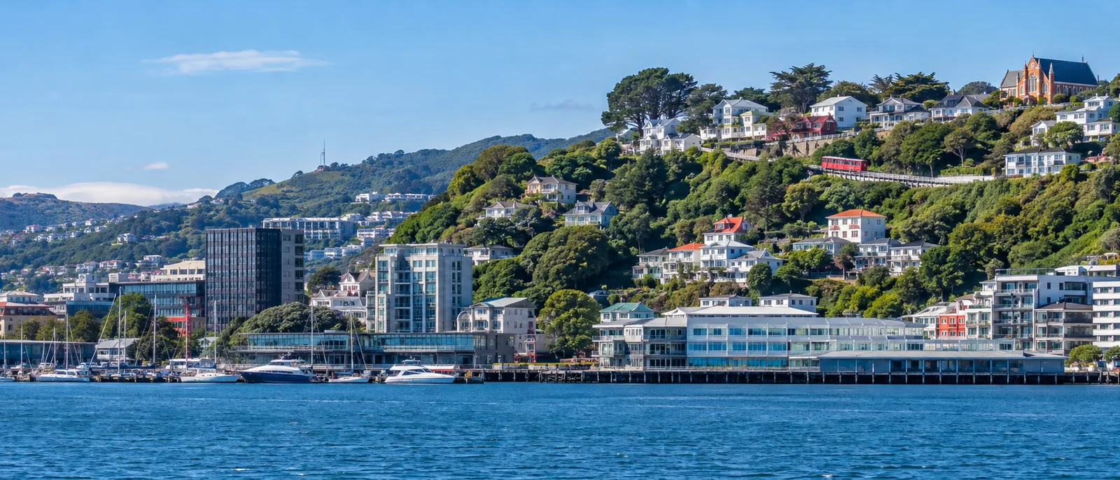 Wellington's colourful hillside houses rising above the harbour