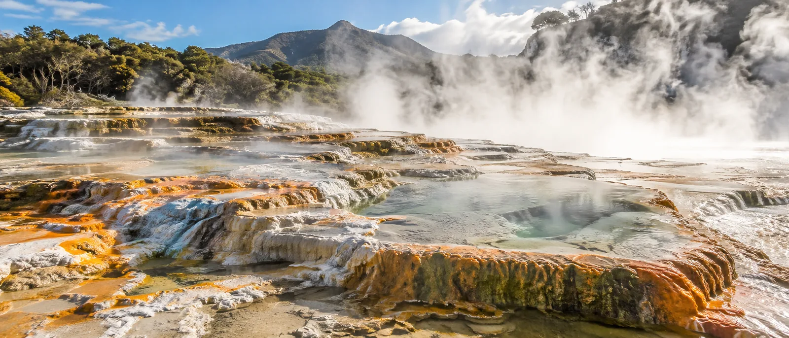 Steam rising from a geothermal terrace near Rotorua