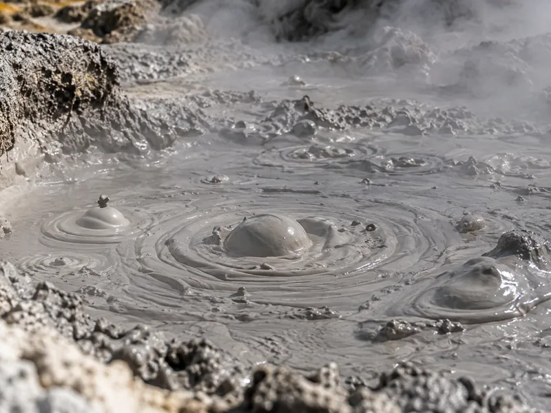 Steam rising from a geothermal terrace at Rotorua