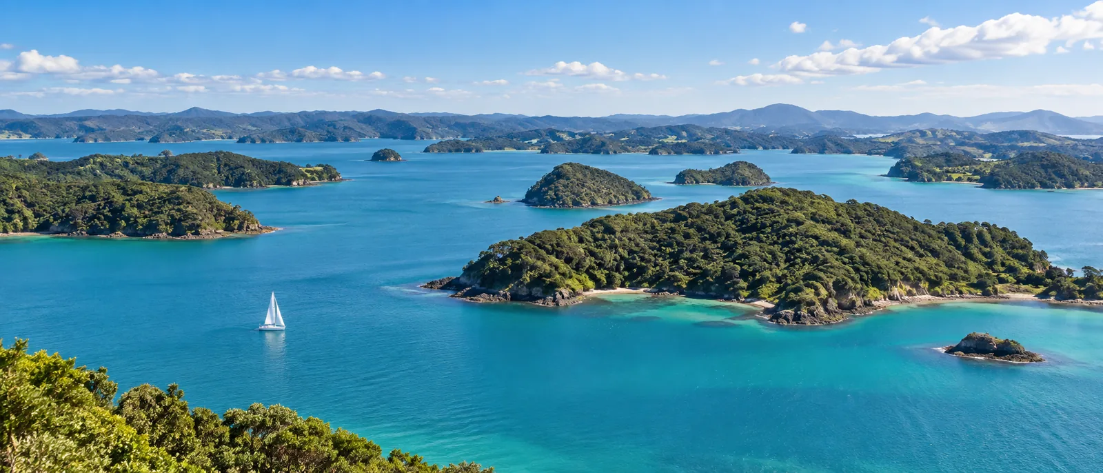 Turquoise water and forested islands scattered across the Bay of Islands
